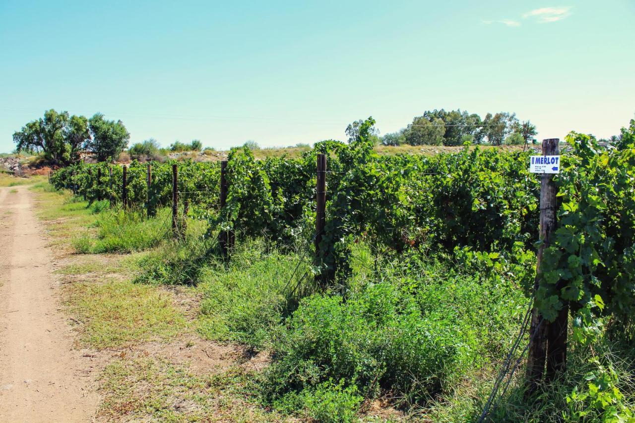 Bezalel Wine & Brandy Estate Villa Kanoneiland Bagian luar foto